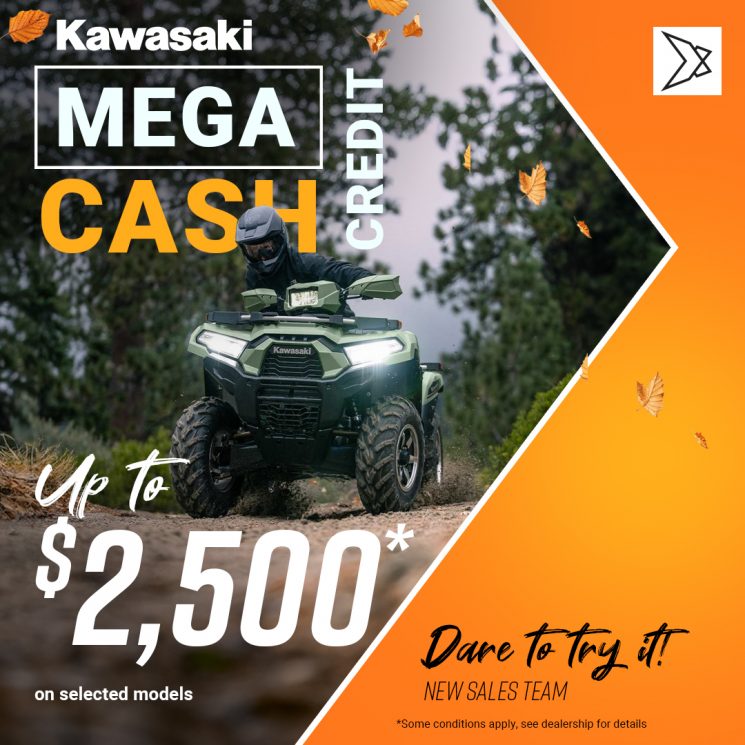 Mega cash credit